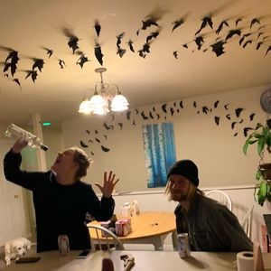 Meet your Posher, Logan